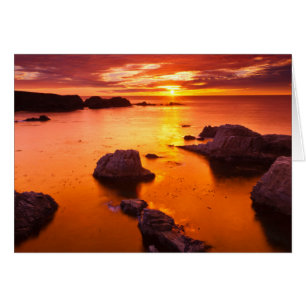 Cartão Paisagem marinha laranja, pôr do sol, Califórnia