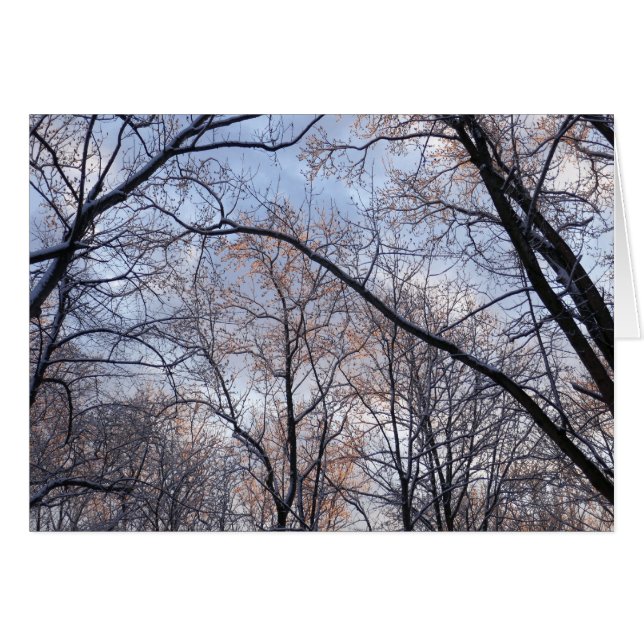 Cartão Paisagem Natural da Manhã de inverno II (Frente Horizontal)