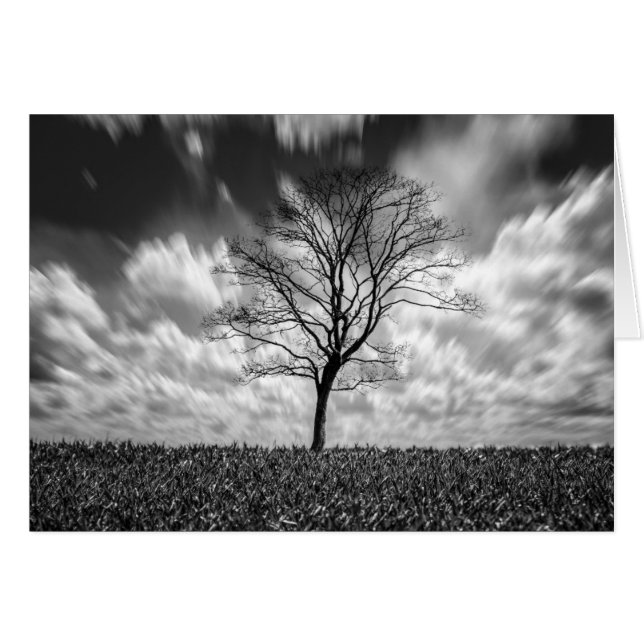 Cartão paisagem preto e branco da silhueta da árvore (Frente horizontal)