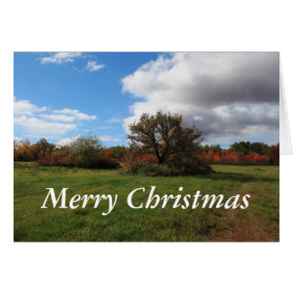 Cartão Paisagem tranquila de fotografia de Natal