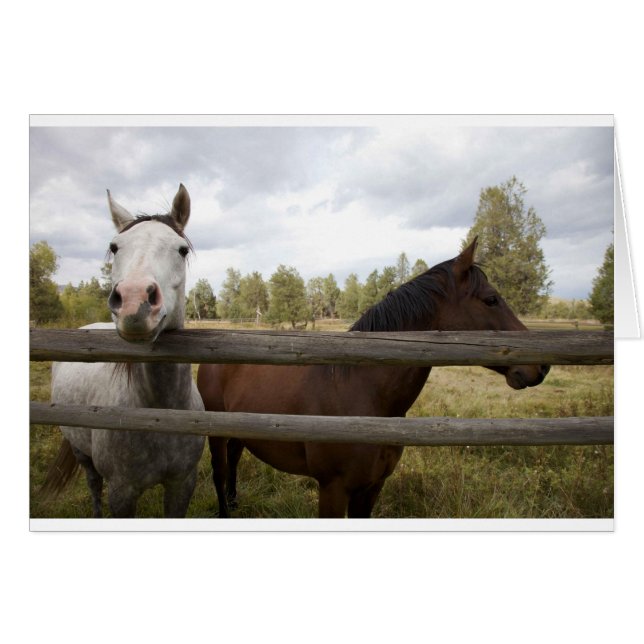 CARTÃO PAISAGENS DO PAÍS (Frente Horizontal)