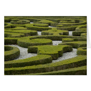 Cartão Países Baixos (também conhecidos por Holanda), Ape