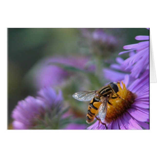 Cartão Paixão Roxo (Frente Horizontal)