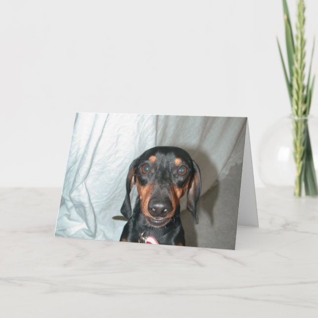 Cartão Palavras do Wiener (Frente)