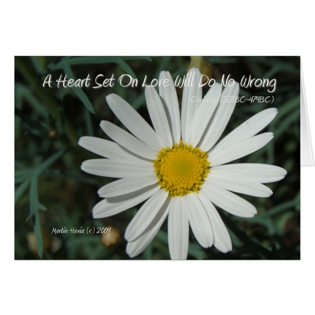 Cartão Palavras Famosas: Love - White Daisy Card Series ( (Frente Horizontal)