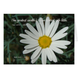Cartão Palavras Famosas: Riqueza - Série White Daisy Card
