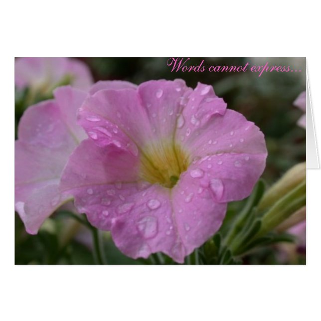 Cartão Palavras não podem expressar... (Frente Horizontal)