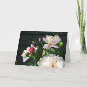 Cartão Pale Pink Peonies 2020 por Diane Heller