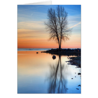 Cartão Paleta Sunrise