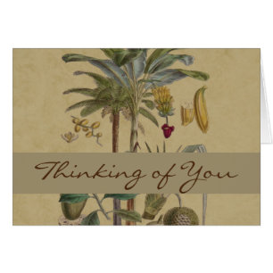 Cartão Palm Antique Fruta Tropical Arte Botânica