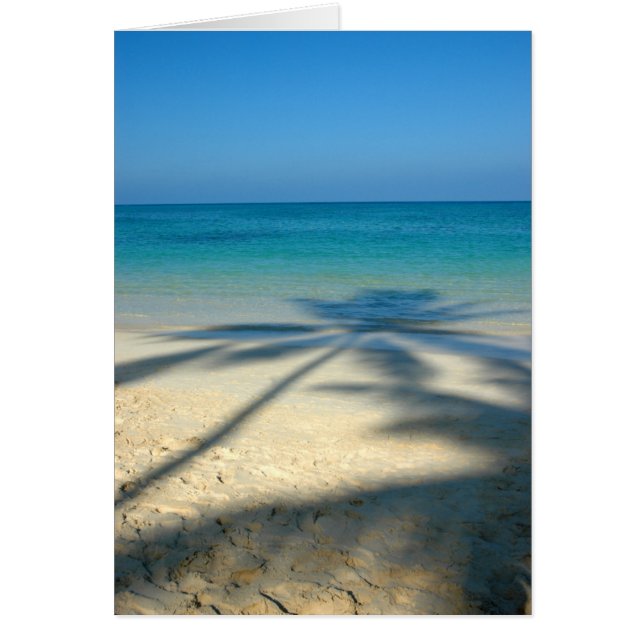 Cartão Palm, Lanikai Beach (Frente)