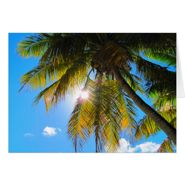Cartão Palm Paradise Blue Sky Sunshine (Frente Horizontal)