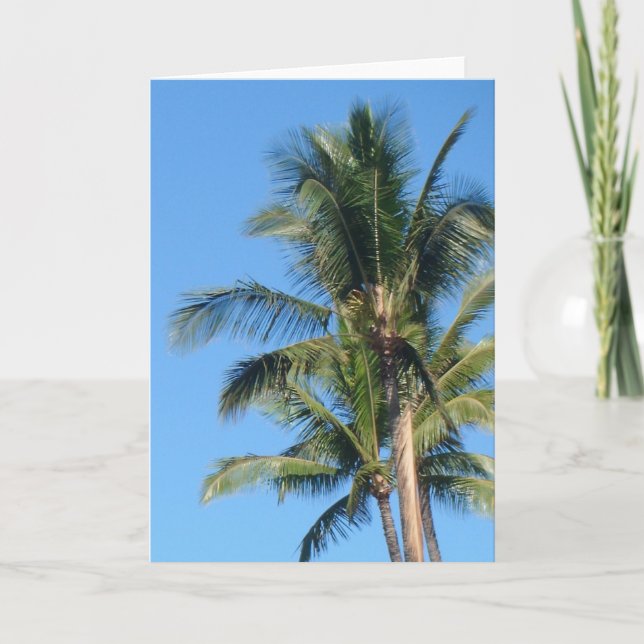 Cartão *Palm Tree* Blank Greeting Card (Frente)