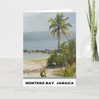 Cartão Palm Tree, Montego Bay Jamaica June 2011