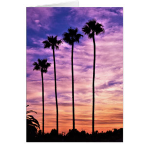 Cartão Palm Tree Sunset da Califórnia