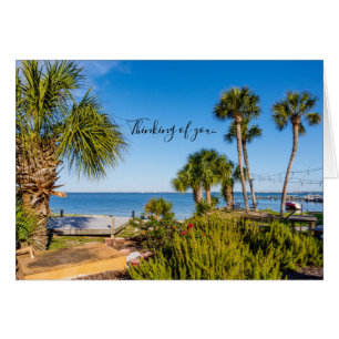 Cartão Palm Trees Bayside Manhã Pensando Em Você