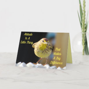 Cartão Palm Warbler - Pássaro do Quintal Personalizado