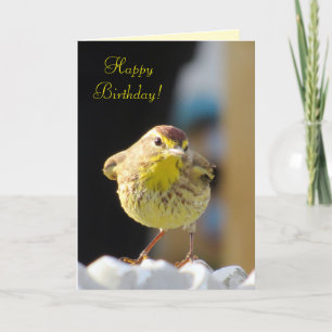 Cartão Palm Warbler - Placa de Aniversário da Série Bir