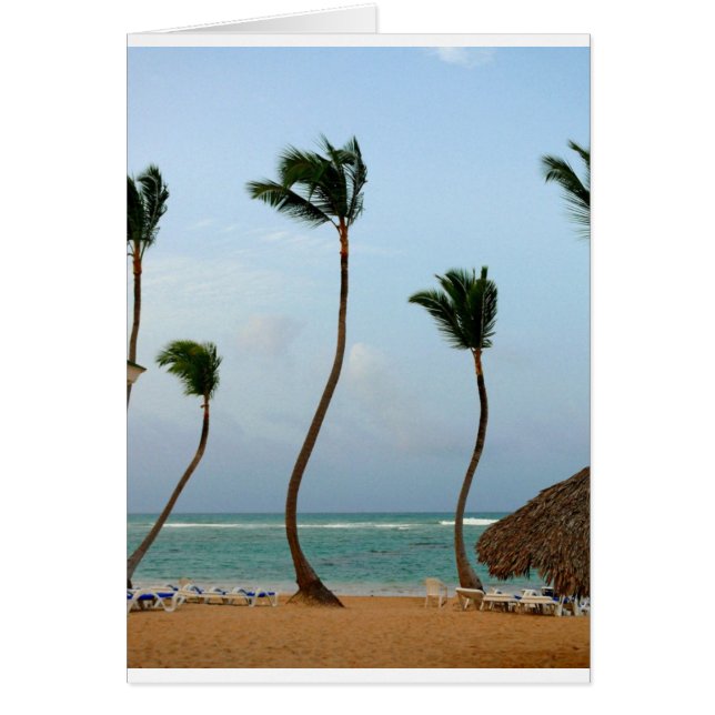 Cartão Palma da praia (Frente)