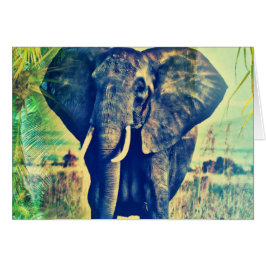 Cartão Palmas de elefante