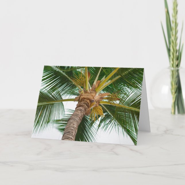 Cartão Palmeira de para baixo abaixo (Frente)