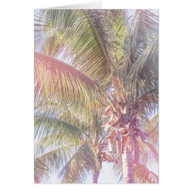 Cartão Palmeira ideal (Frente)