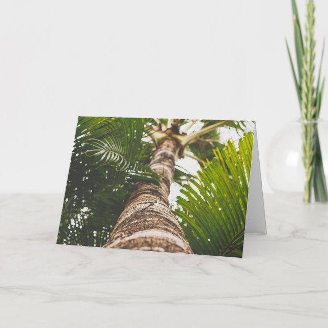 Cartão Palmeira mexicana de baixo de (Frente)