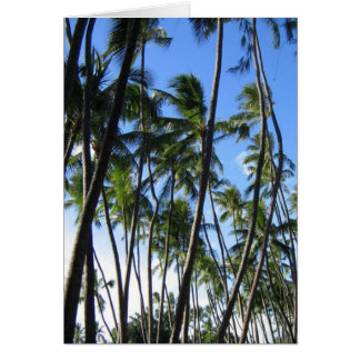 Cartão Palmeiras