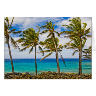 Cartão Palmeiras de coco (Cocos nucifera)