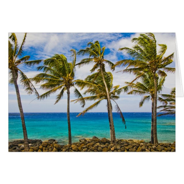 Cartão Palmeiras de coco (Cocos nucifera) a balançar (Frente Horizontal)