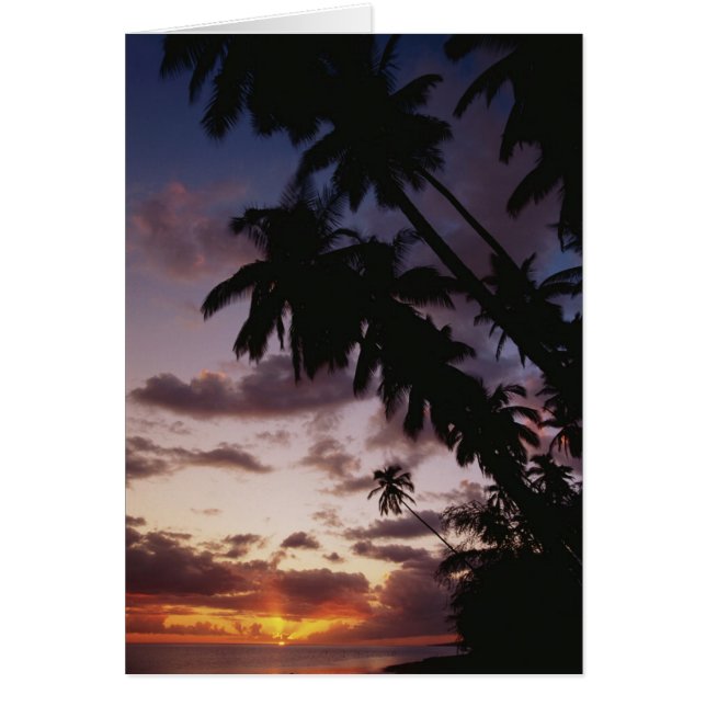 Cartão Palmeiras no mar (Frente)