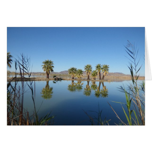 Cartão Palmeiras Refletidas (Frente Horizontal)