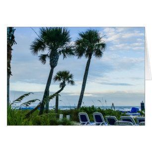 Cartão Palmeiras tortas