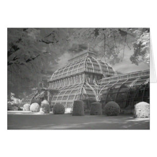 Cartão Palmenhaus