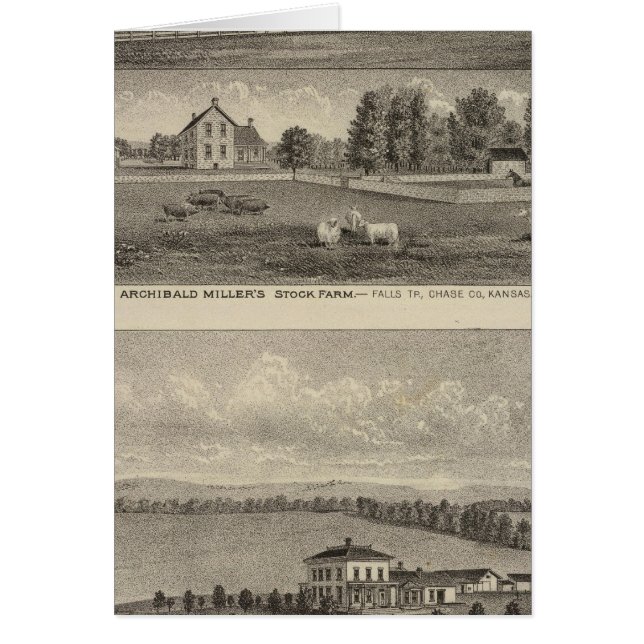 Cartão Palmer Ranch, Kansas (Frente)