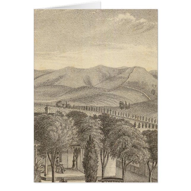 Cartão Palmer res, vinha (Frente)