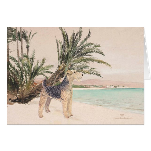 Cartão Palmy Beach (Frente Horizontal)