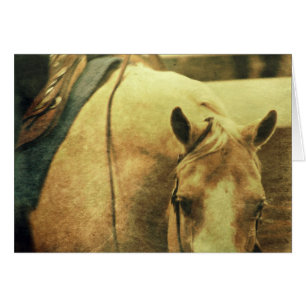 Cartão Palomino Ocidental