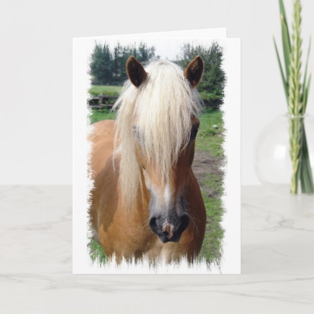 Cartão Palomino Quarter Horse Greeting Card (Frente)