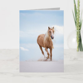 Cartão Palomino Stallion in the Dunes Horse Greeting Card