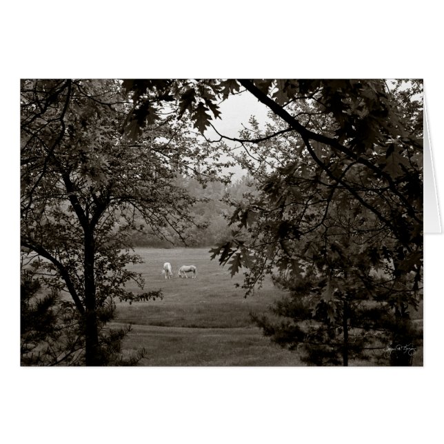 Cartão Palominos emoldurados em Oak (Frente Horizontal)