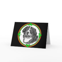 Pancadinhas do St. do cão de montanha de Bernese