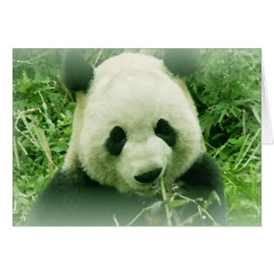 Cartão Panda