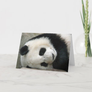 Cartão Panda