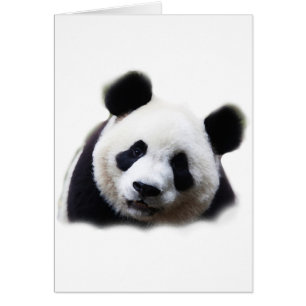 Cartão Panda