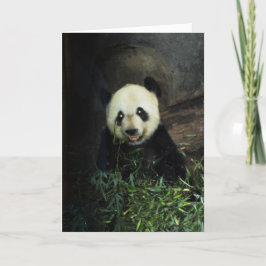 Cartão Panda