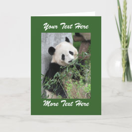 Cartão Panda Adicione Seu Próprio Texto Em Branco Dentro