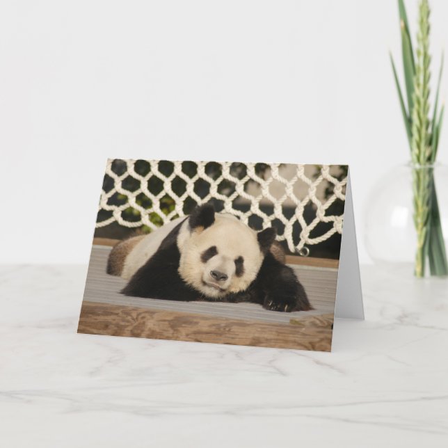 Cartão Panda M010 (Frente)