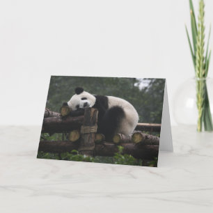 Cartão Pandas gigantes na Proteção de Pandas Gigantes