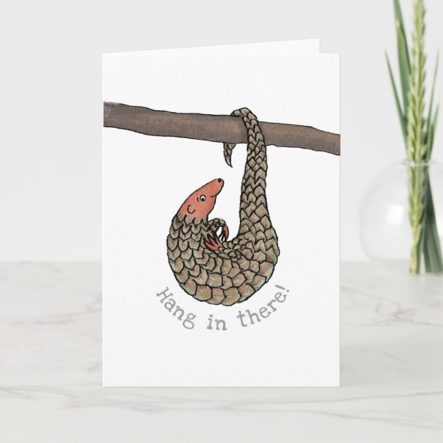 Cartão Pangolin 'hang in there' card (Frente)